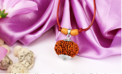 11 Muhki Rudraksha