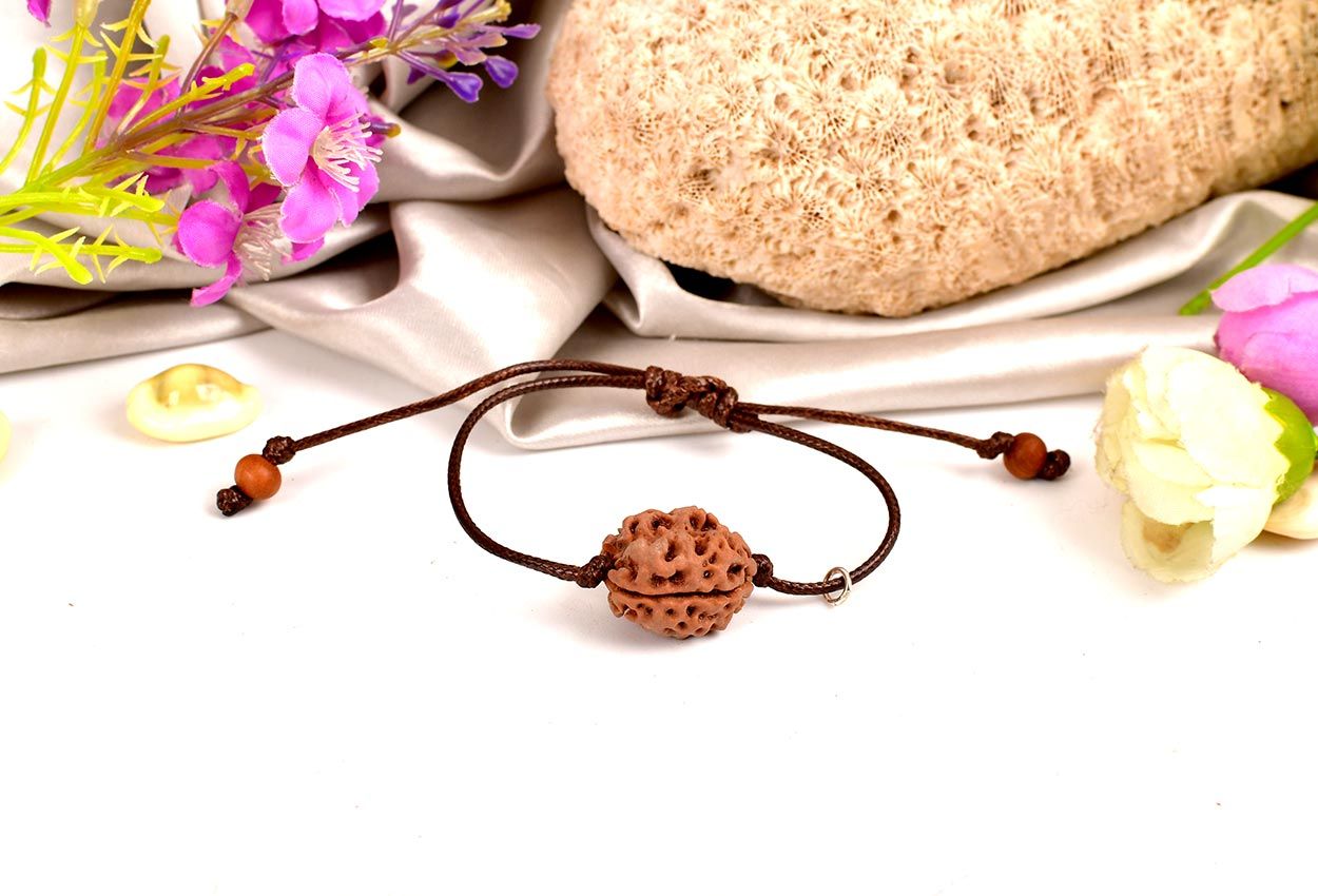 2 Mukhi Rudraksha