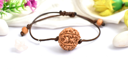 6 Mukhi Rudraksha