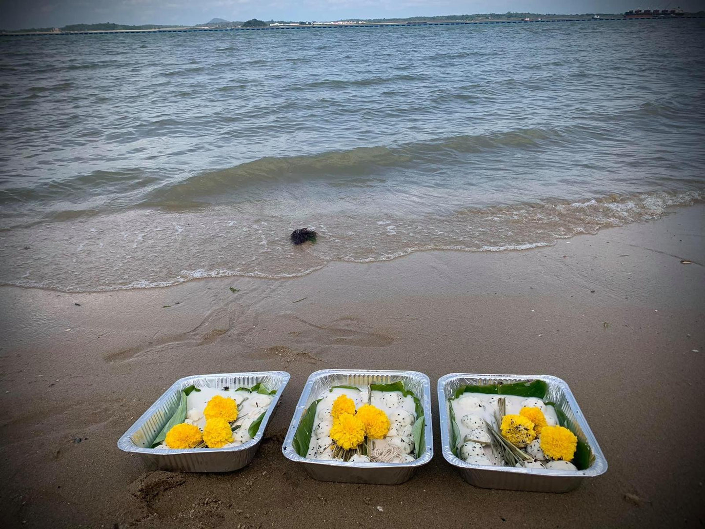 Pitru Tarpanam – Ancestral Offerings Amavasai