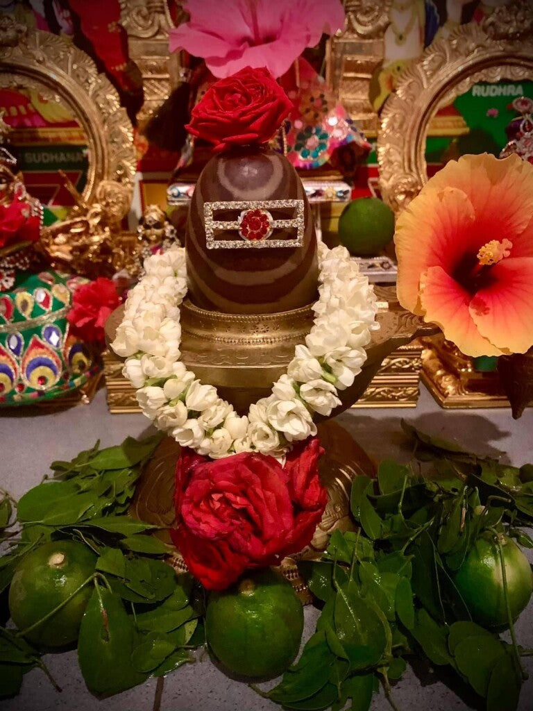 Pitru Dosha Tripindi Shraddha Puja