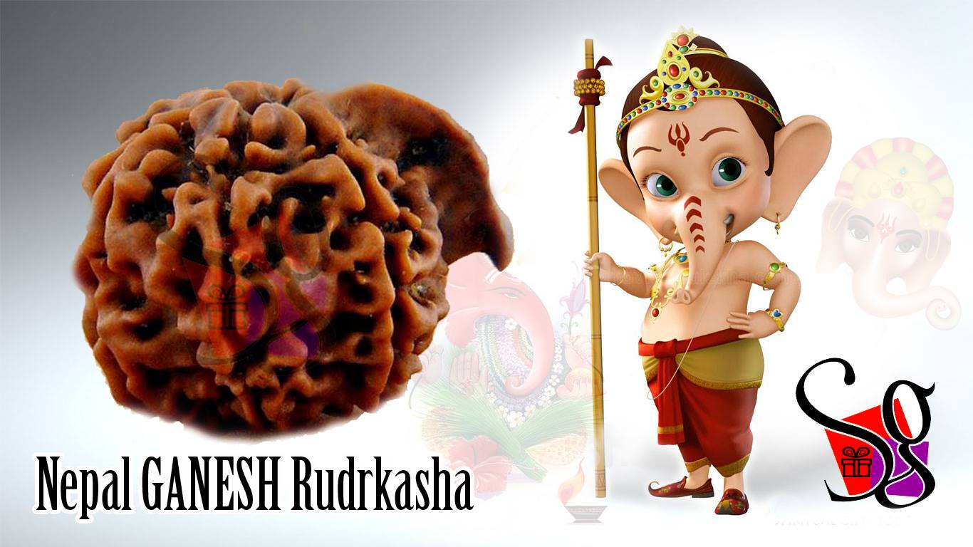 Ganesha Rudraksha with Silk Thread