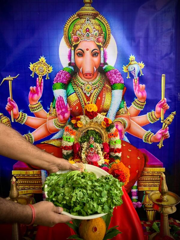 Varahi Homa - Panchabootha Varahi Havan