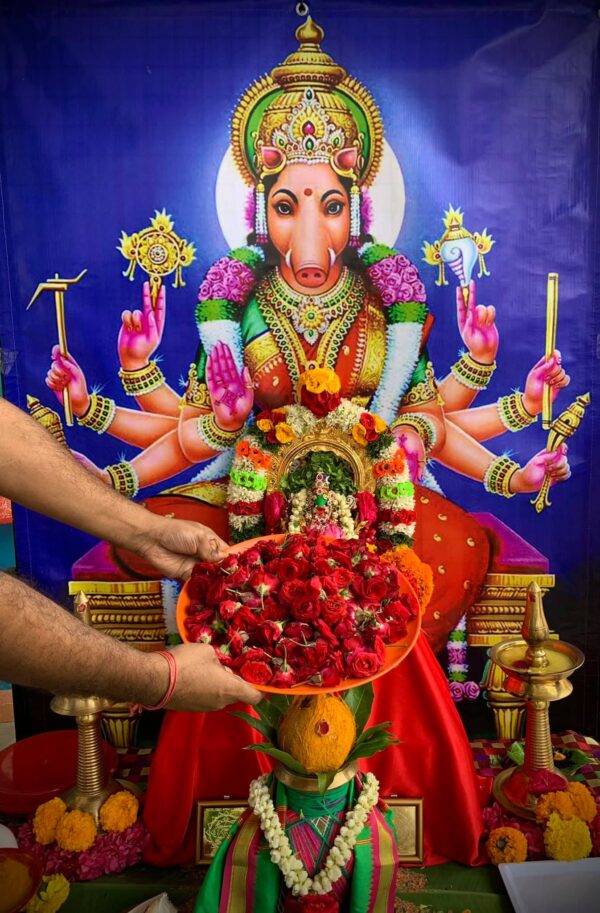 Varahi Homa - Panchabootha Varahi Havan