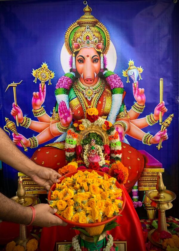 Varahi Homa - Panchabootha Varahi Havan