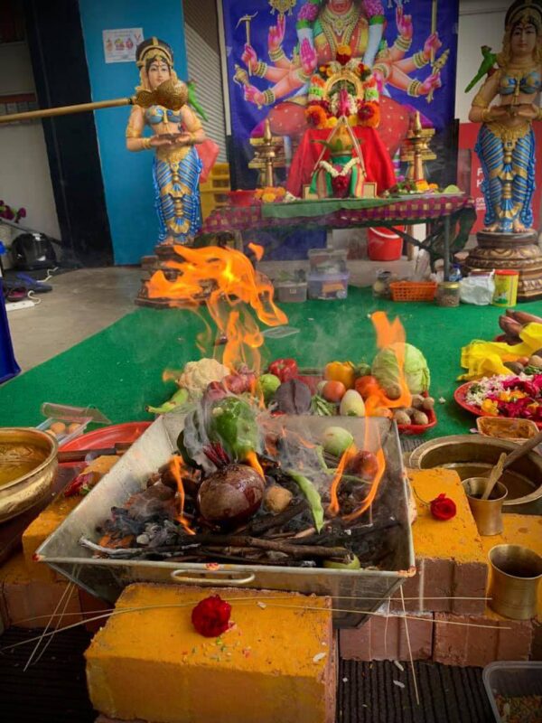 Varahi Homa - Panchabootha Varahi Havan