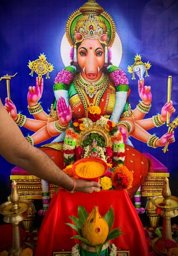 Varahi Homa - Panchabootha Varahi Havan