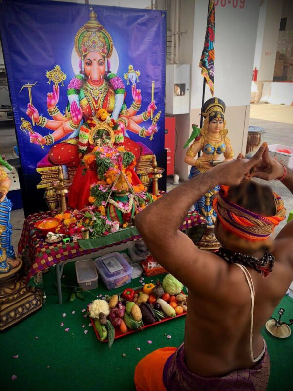 Varahi Homa - Panchabootha Varahi Havan