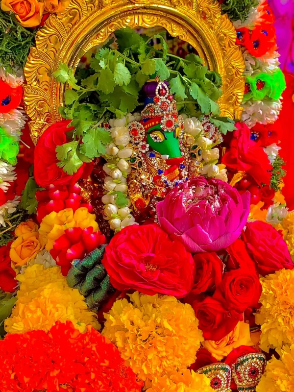 Varahi Homa - Panchabootha Varahi Havan
