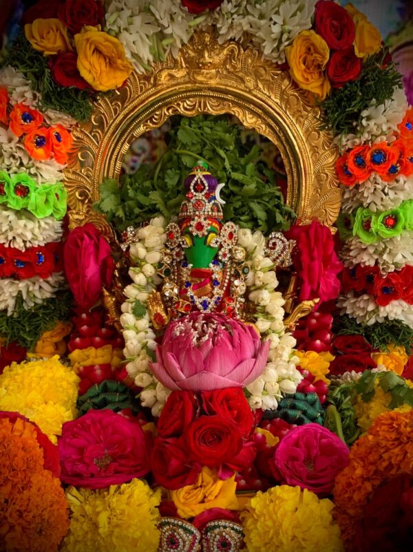Varahi Homa - Panchabootha Varahi Havan