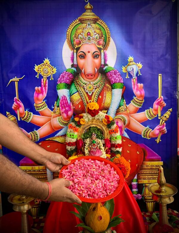 Varahi Homa - Panchabootha Varahi Havan