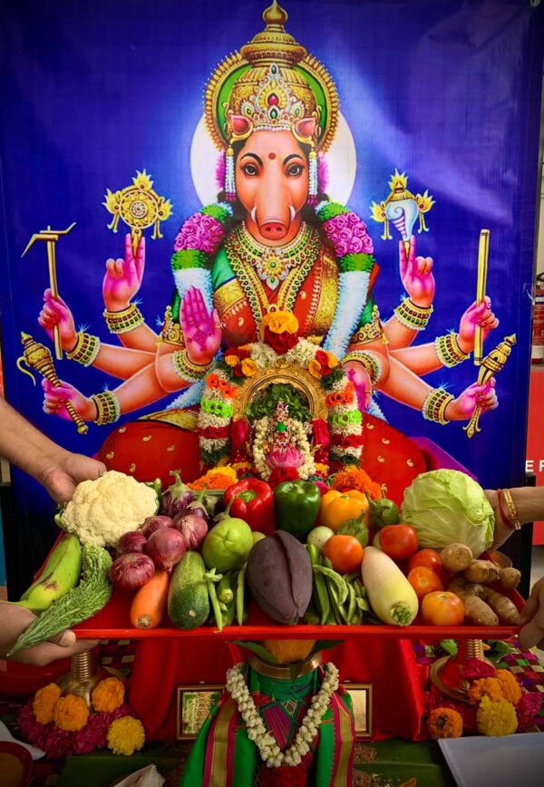Varahi Homa - Panchabootha Varahi Havan