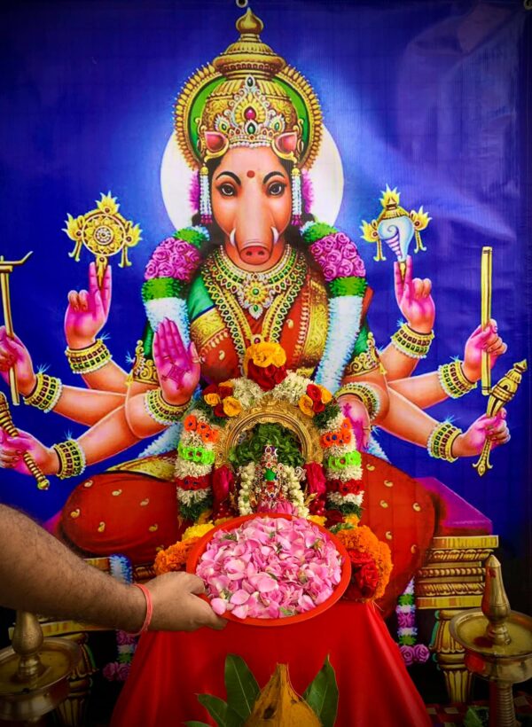 Varahi Homa - Panchabootha Varahi Havan
