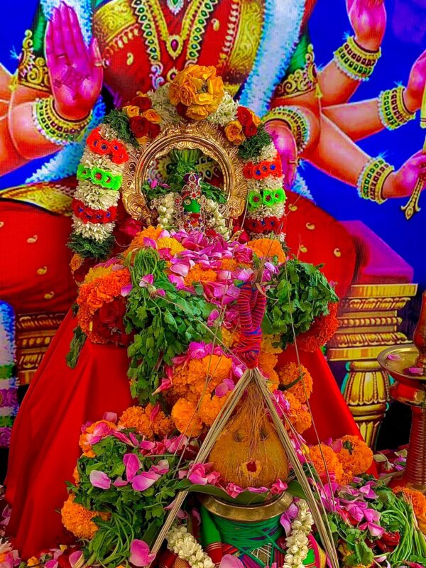 Varahi Homa - Panchabootha Varahi Havan