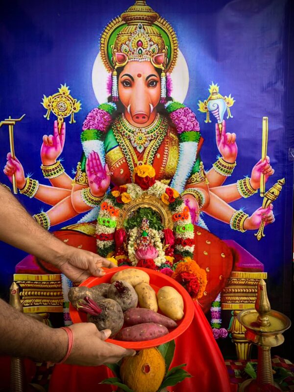 Varahi Homa - Panchabootha Varahi Havan