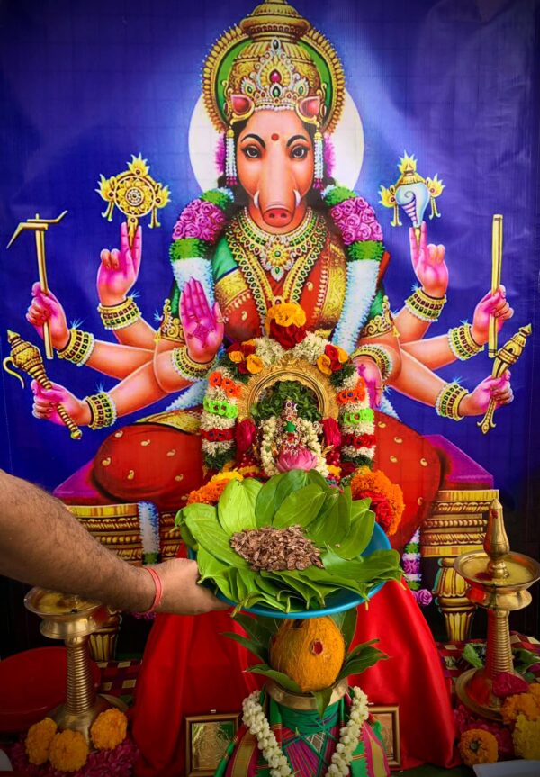 Varahi Homa - Panchabootha Varahi Havan