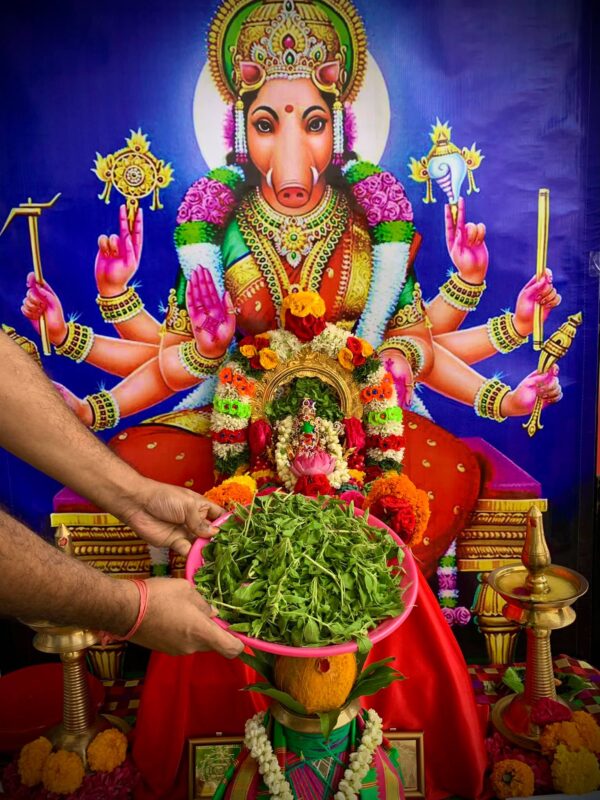 Varahi Homa - Panchabootha Varahi Havan