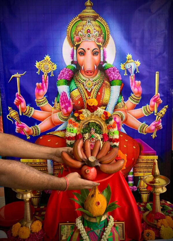 Varahi Homa - Panchabootha Varahi Havan