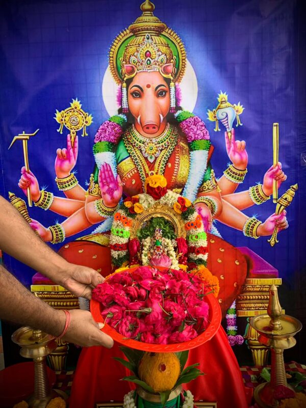 Varahi Homa - Panchabootha Varahi Havan