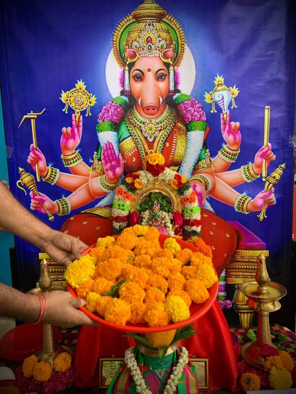 Varahi Homa - Panchabootha Varahi Havan