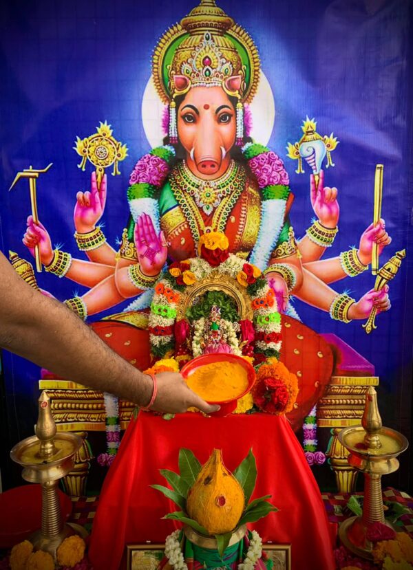 Varahi Homa - Panchabootha Varahi Havan