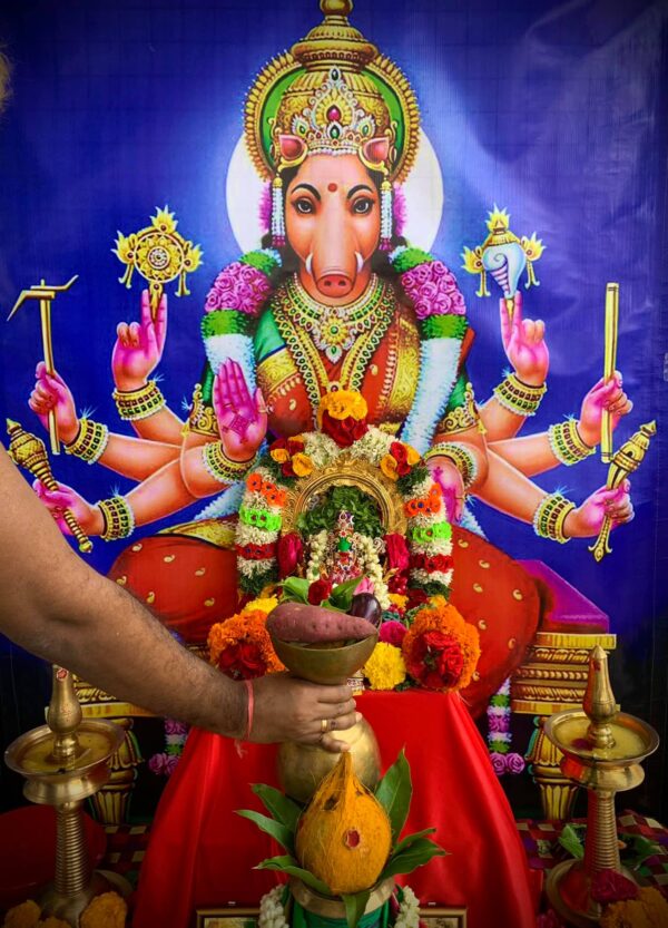 Varahi Homa - Panchabootha Varahi Havan