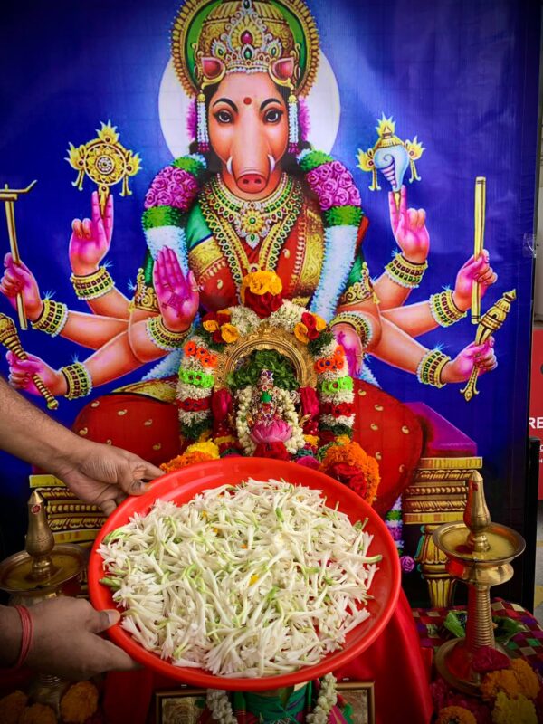 Varahi Homa - Panchabootha Varahi Havan