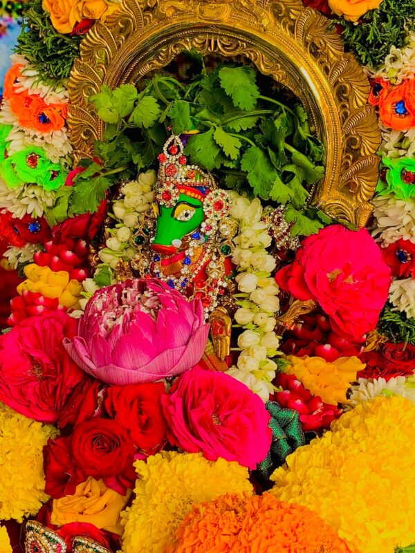 Varahi Homa - Panchabootha Varahi Havan