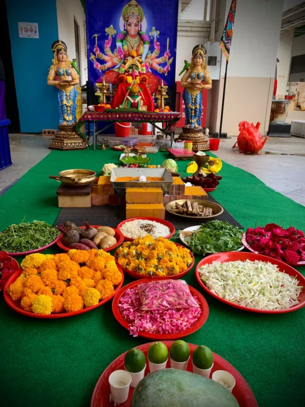 Varahi Homa - Panchabootha Varahi Havan
