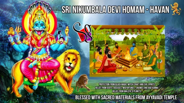 Varahi Homa - Panchabootha Varahi Havan