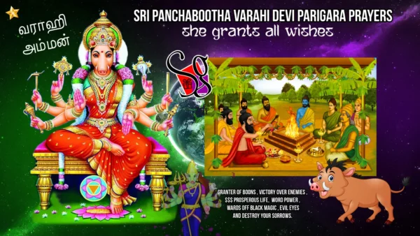 Varahi Homa - Panchabootha Varahi Havan