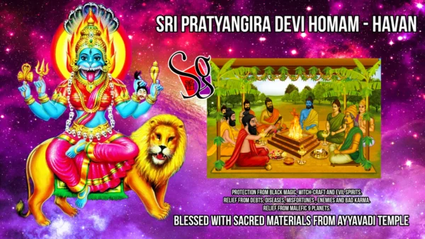 Varahi Homa - Panchabootha Varahi Havan